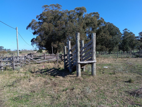 Vendo Muy Lindo Campo Con 2 Tajamares Para Riego, Alambrado, Pozos, Cañada, Monte, Financio Consulte