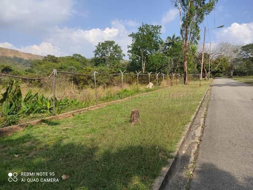  Exclusivo Terreno Ubicado En La Zona De Mas Alta Revalorizacion En La Ciudad De Valencia Guataparo Country Club