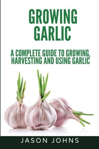 Growing Garlic  A Complete Guide To Growing, Harvesting  Y  