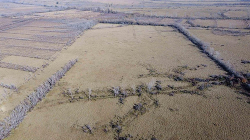 Imagen 9 de 13 de Venta 8 Hectareas En Seccion 1 De Islas Del Parana