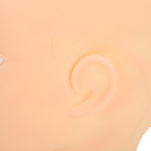 Peluca De Entrenamiento De Maquillaje Con Forma De Maniquí C