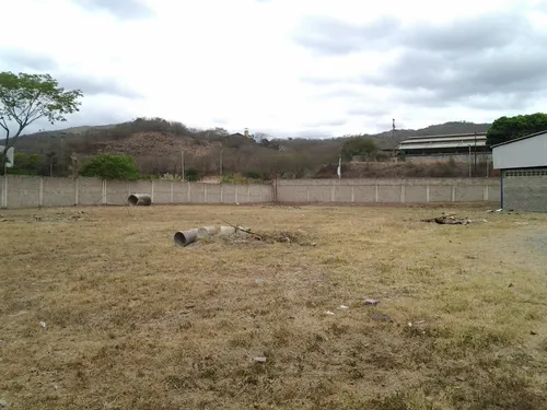 Terrenos En Venta Y Alquiler