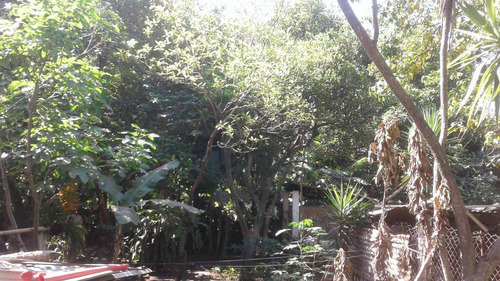 Imagen 12 de 14 de Vendo Casa Con Terreno De 1,800m2 Siquinalá Escuintla