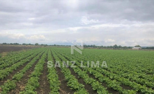 San Juan De La Vega: Terreno Agricola Listo Para Trabajar.