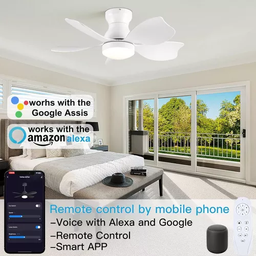 Ventilador de techo con luces, control remoto de 30 pulgadas, ventilador de  techo inteligente de CC de bajo perfil que funciona con Alexa, Google Home