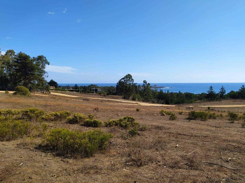 Imagen 19 de 21 de Condominio Alto Morro / Punta Lobos