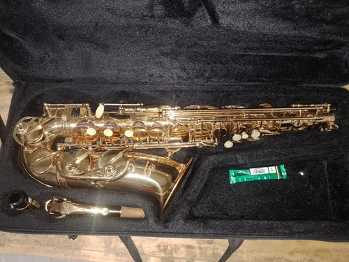 Saxo Parker Alto