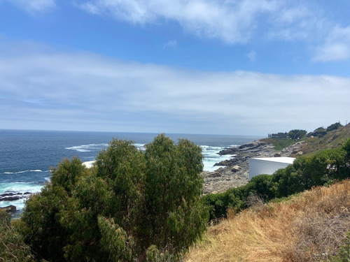 Imagen 2 de 6 de Terreno Primera Linea Zapallar (increíble Vista Al Mar)