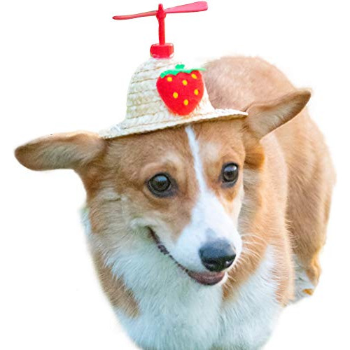 La La Pet Ajustable Lindo Mini Sombrero Para Mascotas Sombre