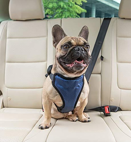 Arnés Para Perros Petsafe Deluxe, Seguridad Del Automóvil