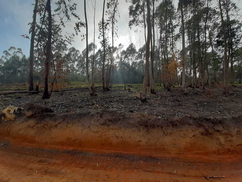 Imagem 8 de 9 de Terrenos De 1000² Para Sua Casa-interior De Sp