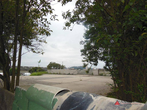 Imagem 4 de 4 de Terreno Para Alugar, 4800 M² Por R$ 38.400,00/mês - Planalto - São Bernardo Do Campo/sp - Te0091