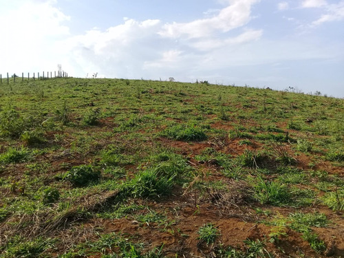 Granja Com Água E Luz