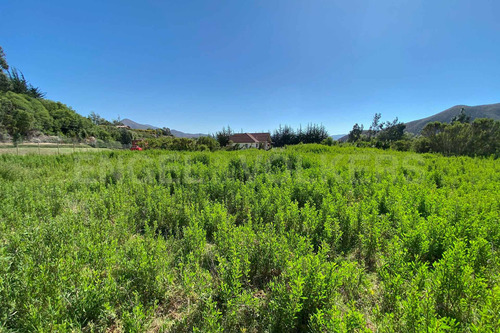 Imagen 5 de 12 de Se Vende Terreno En Fundo La Calera Vicuña