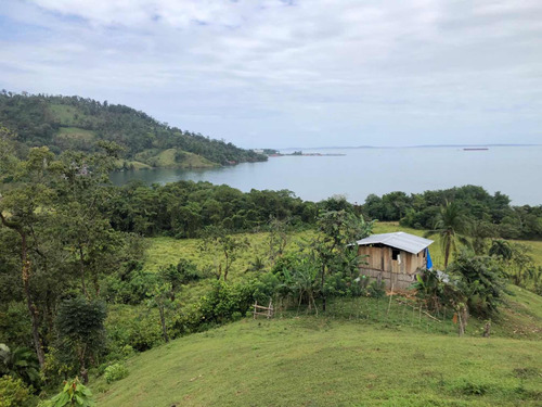 Finca En Bocas Del Toro