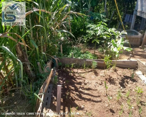 Imagem 13 de 15 de Chácara Para Venda Em Pinhalzinho, Zona Rural, 1 Dormitório, 1 Suíte, 2 Vagas - 761_2-1186070