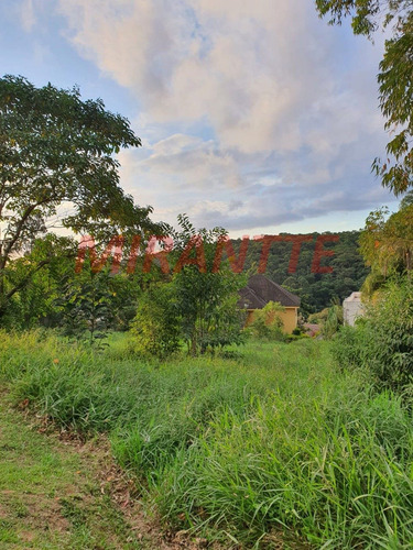 Imagem 3 de 9 de Terreno Em Serra Da Cantareira - São Paulo, Sp - 315466