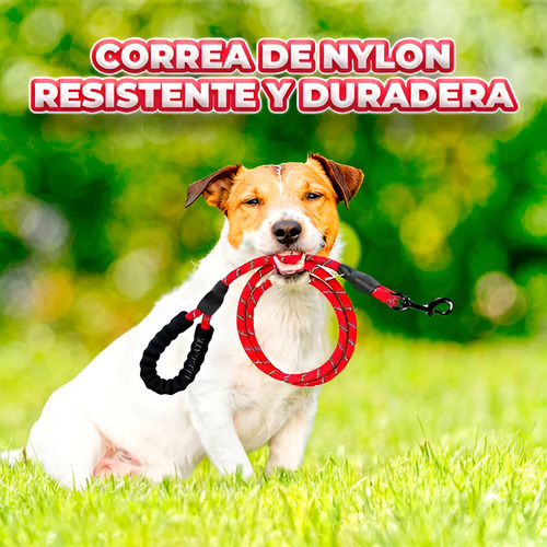 Correa Nylon Mascotas Reflectante 1.5 Metros Asas Doble Color Rojo