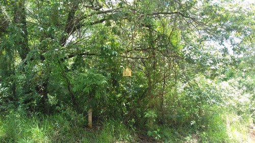 Imagem 7 de 8 de Terreno No Recanto Da Serra - Esmeraldas - Te00534 - 71042759