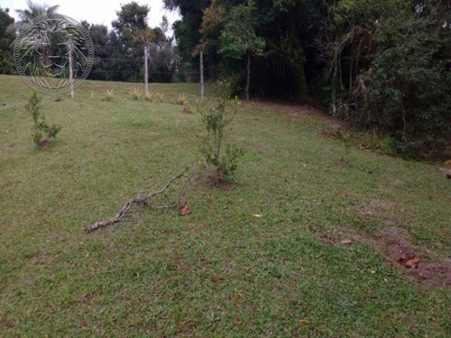 Imagem 6 de 15 de Terreno - Ribeirao Da Ilha - Ref: 1483 - V-1520