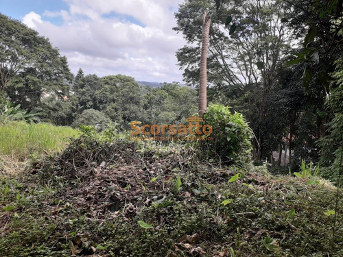 Imagem 5 de 11 de Área À Venda, Centro, Itapecerica Da Serra/sp - 5672