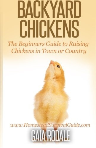 Backyard Chickens The Beginners Guide To Raising Chickens In