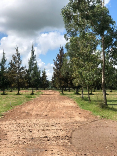 Imagen 5 de 10 de Lotes En Cañuelas.