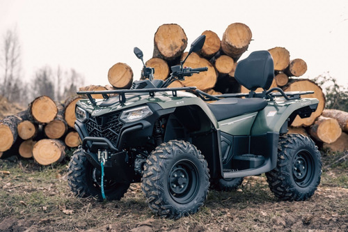 Imagen 8 de 20 de Cuatriciclo Cfmoto C-force 450 L | Mall Don Bosco Motors