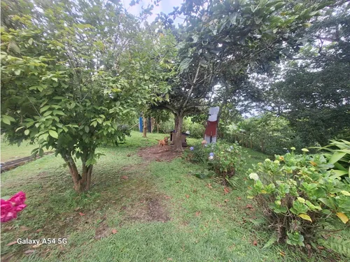 Venta Finca Circasia Quindio. Colombia Cod: 8481169