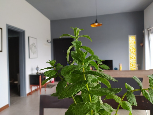 Abrazo Del Sol - Villa Serrana. Casa Para 6. Wifi, Aire Acondicionado, Directv