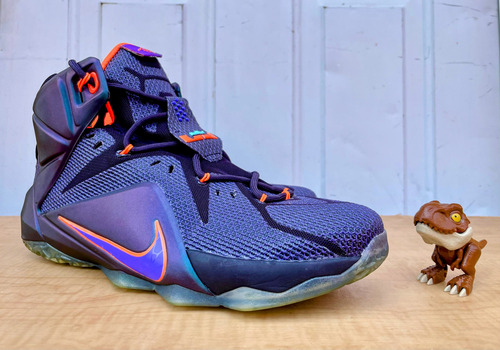Nike Lebron 12 Instinct 684593-583 Lebron James (Usado)