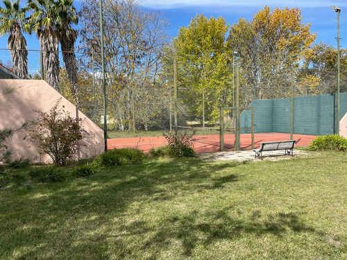 Campo De Roca