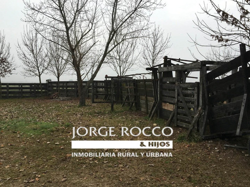 Imagen 7 de 16 de 400 Has. Campo Ganadero - San Vicente -