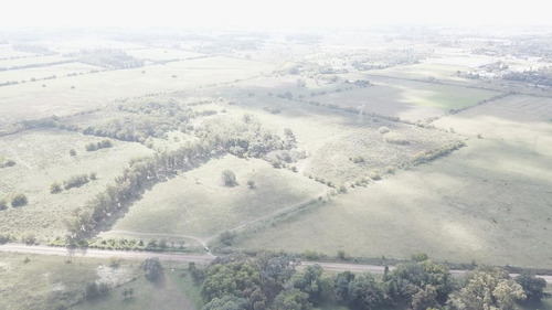 Imagen 6 de 17 de Campo - Fátima Estacion Empalme