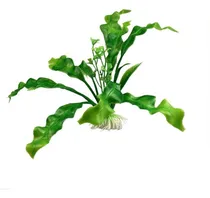 Comprar Plantas Acuaticas Peceras Peces Acuario Plantas Artificiales