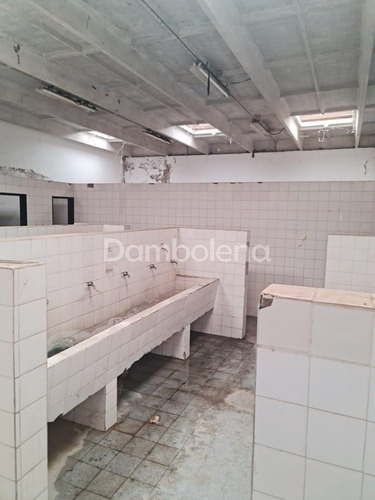 Imagen 14 de 25 de Terreno Fraccion En Alquiler Ubicado En Mercedes, Resto De La Provincia, Buenos Aires
