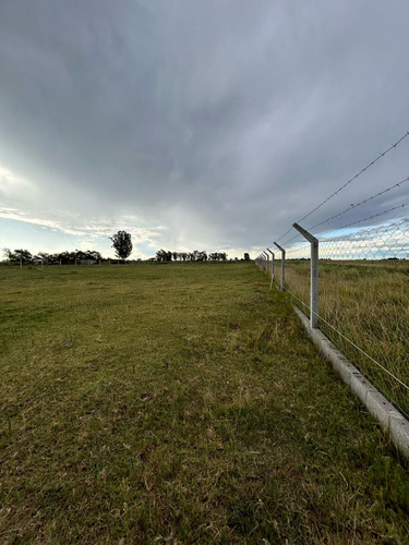 Se Vende Lote En Pehuajó, Sobre Ruta Nacional Nº5