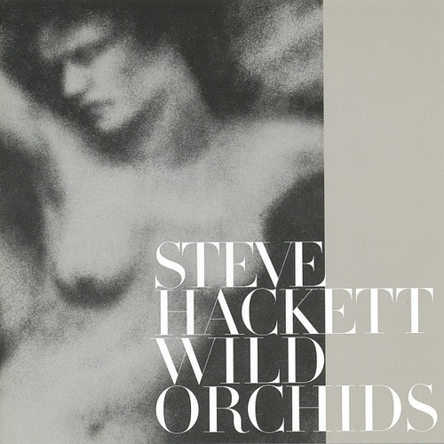 Steve Hackett - Wild Orchids Cd