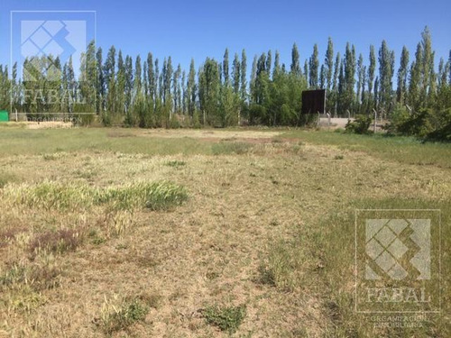 Imagen 6 de 7 de Terreno Venta Cipolletti, Barrio Privado Estilo Chacra