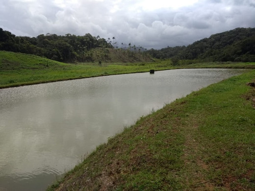 Imagem 24 de 30 de Sitio No Juquiá - St00024