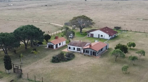 Venta Chacra Casa Campo Haras Las Brujas Ruta 48 Km 0 A 30´centro Montevideo 4000m2 Edif. En 27 Hás