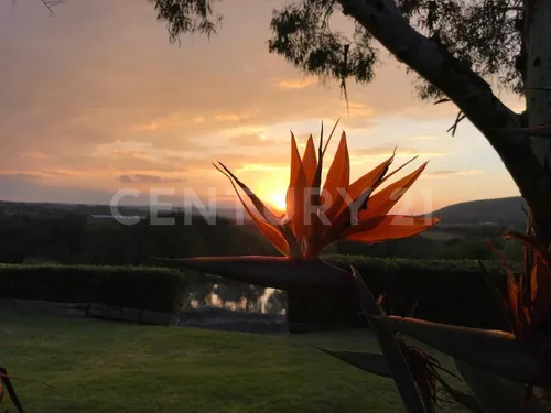 Casa En Venta En Campo De Golf, El Encino, Huimilpan Queretaro