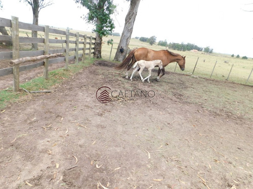 Imagen 2 de 13 de Campo- Chacra En Venta- Entrada De Pueblo Garzon-35 Hectareas - Garzón Pueblo Garzón