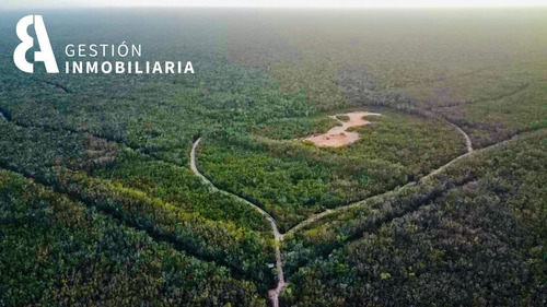Imagen 9 de 10 de Terreno En Venta En Kuyabeh, Tulum, Qroo Ctv229