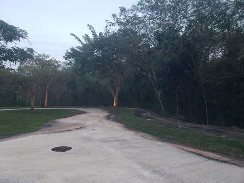 Venta De Terreno En Privada En Cabo Norte Con Amenidades