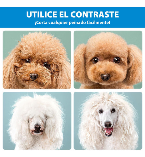 Tijeras Para Cortar Cabello, Juego De 7 Piezas, Tijeras De