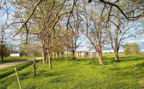 Imagen 9 de 24 de Venta Chacra 6 Ambientes Cañuelas