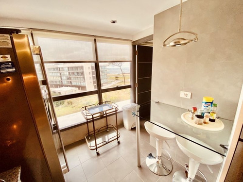 Imagen 20 de 27 de Apartamento 3 Dormitorios En Playa Mansa, Punta Del Este - Terraza De La Laguna
