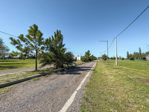Imagen 16 de 21 de Lote Con Amenities De 440 M2 En Pinares Del Sur