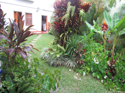 Imagen 5 de 30 de Se Vende Casa 800m2 4h/6b/4p Lomas Del Mirador 9214